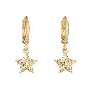 Oorringen | sparkling star (goud)